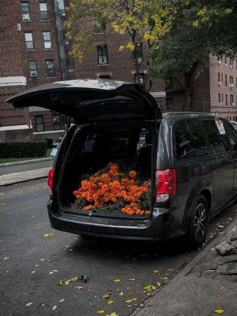 A black vehicle parked on a city street with its rear hatch open, revealing a large bouquet of fresh, vibrant orange marigolds arranged tightly together. The bouquet appears freshly cut, with bright g