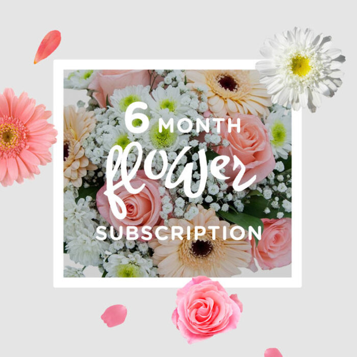 In this image, the bouquet feels like a pocket of daylight gathered into flowers, the kind of arrangement that might sit in a sunlit bay window of a Longford terrace. Soft pink roses form the emotional centre, their petals layered in tight, velvety spirals that suggest tenderness and quiet thoughtfulness. Surrounding them are gerbera daisies in pale peach and cool blush, each with a broad, circular face and smooth, slightly overlapping petals that radiate outward like soft rays of light. Sprinkled throughout are sprays of white gypsophila, so fine and delicate they resemble a mist of tiny stars or early morning dew resting on grass in a nearby Longford park. White chrysanthemums add another dimension of texture; their more densely packed petals create small, structured domes that anchor the design and prevent it from feeling too wispy. The colours are restrained yet luminous-creamy whites, pastel pinks, and apricot tones blending into a soothing, harmonious palette. Minimal greenery peeks between the blooms, just enough to suggest freshness and the snap of newly cut stems. The lighting feels gentle and natural, as though the bouquet has been placed near a window where soft daylight glows across each petal edge, enhancing the sense of calm. There is an understated elegance to the way the stems are arranged, balanced without stiffness, as if composed by a florist who understands the rhythm of local Longford life-quiet celebrations, thoughtful gestures, and the comfort of familiar streets. It is easy to imagine this arrangement arriving regularly through a flower subscription, marking ordinary days with a touch of optimism, offering reassurance, sympathy, or simple delight as seasons move gently on.