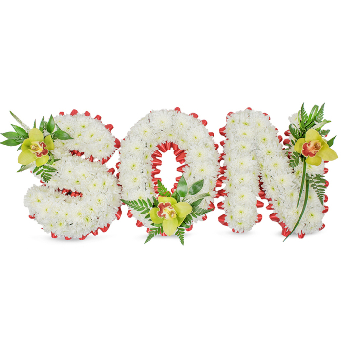 Presented on a plain white field, this dignified floral tribute spells 'SON' in bold, sculpted letters composed entirely of small, immaculate white chrysanthemum blooms, their tightly packed petals forming a seamless, tactile surface that suggests both innocence and solemnity. The letters are edged with a striking continuous band of red ribbon, each loop folded into scalloped shapes that trace the contours and draw the eye to the sculptural quality of the piece; the red provides a powerful accent of affection within the otherwise restrained palette. Each letter is further punctuated by a cluster of lime-green Cymbidium orchids - the 'S' bears one at its upper left curl, the 'O' is cradled by one at its base, and the 'N' rises with another on its upper right stroke - each orchid showing delicate reddish-brown markings in the throat and set amid glossy green leaves and fine fern fronds that lend vertical movement and soft texture. The arrangement is illuminated with soft, directional light that enhances petal detail and the sheen of foliage, and the overall craftsmanship - from the pinning technique to the neat ribbonwork - communicates care and precision suited for memorial services. This style of tribute is commonly chosen for funeral displays and graveside remembrances in Longford, offering a quiet, personal invocation of love and memory for a son, whether placed in a chapel near St. Mel's or brought to a family home on Church Street.