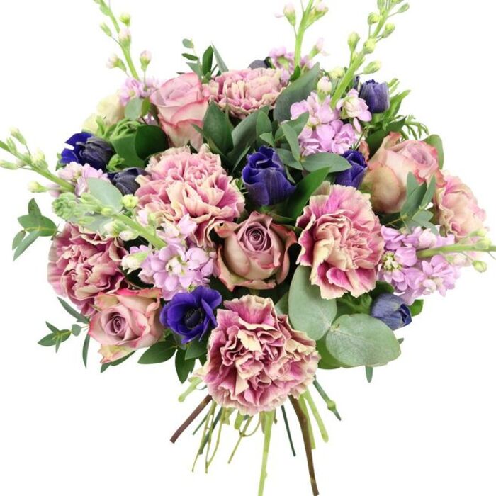 This hand-tied bouquet, set against a plain, bright white background, showcases a sophisticated blend of colours and textures that immediately draws the eye. At the centre, several large garden roses open in layered spirals of dusty rose, blush pink, and muted mauve, their velvety petals capturing the soft, romantic character of an English garden in early summer. Surrounding and cushioning these roses, ruffled carnations and dianthus add generous volume, their bi-coloured petals shifting from creamy beige and pale blush at the heart to deeper rose and plum tones at the edges, giving a sense of movement with every fold. Threaded through the pinks are touches of jewel-like blue: deep indigo blooms, some held in smooth, bud-like forms resembling tulips, and an open royal blue anemone with a dramatic dark center positioned toward the lower front of the arrangement. Slender stems of lilac and pale lavender stock rise gracefully through the design, their multiple small blossoms grouped along each stem, bringing a lighter, almost airy texture that softens the overall structure. The bouquet is framed by fresh foliage, including rounded, silvery eucalyptus leaves and darker green, glossy leaves that provide contrast and suggest a cool, refreshing scent. The stems are visible at the base, gathered tightly and slightly angled, emphasizing the hand-crafted nature and freshness associated with local florists in Longford. This elegant composition feels equally suited to an intimate anniversary dinner at home near the Longford River, a sophisticated birthday surprise delivered to a friend on a quiet residential street, or a thoughtful arrangement to express sympathy with calm, graceful beauty.