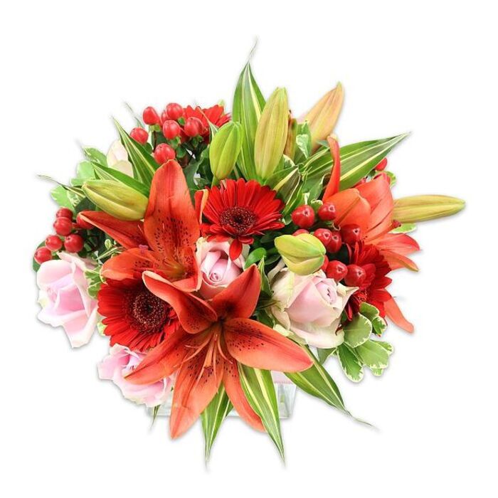 Against a clear white background this compact, densely packed bouquet reveals an expert layering of colour, texture, and botanical form. The composition is led by several large, open lilies in a striking orange-red, their recurving petals dusted with subtle speckles and finished with dark anthers at the stamens that draw the eye inward. Complementing the lilies are bold, crimson Gerbera daisies with their many narrow petals radiating from near-black centers, providing sculptural contrast. Soft blush-pink roses appear throughout in stages of openness - from button-like buds to looser, multi-petalled blooms - offering a gentle, romantic foil to the more saturated reds and oranges. Tucked into the mix are clusters of small, glossy red hypericum berries that introduce a compact, bumpy texture and bright jewel tones.
The greenery is intentionally abundant: broad, flat leaves give solidity to the base, slender pointed lily foliage adds vertical movement, and a few variegated leaves with pale margins create visual lift and subtle complexity. A handful of unopened lily buds bring a sense of time and expectation. Photographed in bright, neutral light that eliminates shadow and emphasizes colour fidelity, the bouquet's surfaces range from velvety rose petals to the papery resilience of lilies and the waxy sheen of the berries. The arrangement's full, rounded silhouette and deliberate height variation speak to classic hand-tying techniques and careful balance.
As experienced Longford florists know, this bouquet reads as warm and celebratory - ideal for marking anniversaries, birthdays or housewarmings - and would sit beautifully on a café table near St. Mel's Cathedral or on a mantelpiece at home, bringing both visual warmth and a gentle floral perfume to the room.