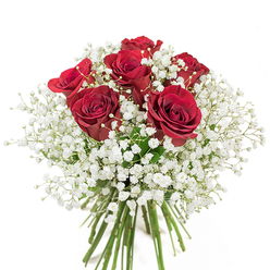 Set against a cloudless white background, this artful bouquet captures Longford's balance of tradition and charm through a pairing of six lush red roses and an ample abundance of white baby's breath. The roses stand tall at the heart of the design, velvety crimson petals spiraling outward in perfect symmetry, their rich shades suggesting warmth, romance, and enduring connection. Surrounding them, a profusion of tiny, star-like Gypsophila blossoms forms a gentle mist, their pure whiteness softening the bouquet and lending it an almost celestial glow. The green stems are gathered with care, aligned neatly as in fresh market posies found along Longford's main street or by the community church. This arrangement suggests the subtle fragrance of roses on an autumn morning, and the gossamer texture of baby's breath under soft daylight. Designed for those moments when words fall short-whether for an anniversary at home on The Green or to express heartfelt appreciation to someone special in Longford-this bouquet stands as a vivid symbol of affection and celebration, expertly crafted and ready to bring a flourish of local artistry and love to any occasion.