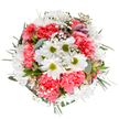 This bouquet paints a jubilant ode to Longford's springtime charm, masterfully arranged to capture the brightness and hope of the season. At the bouquet's centre, radiant white daisies with apple-green hearts gleam like sunlight across a village green, embraced by ruffled coral carnations that add both joyful warmth and tactile depth. Sprays of wispy white gypsophila scatter through the composition, evoking the lightness of clouds or early morning mist over Longford fields. Sprigs of subtle blush alstroemeria buds and rounded eucalyptus leaves peek from within, introducing soft fragrances and a layered palette that feels naturally harmonious. The lush greens supporting every bloom-matte and deep, both in colour and in presence-frame the bouquet like the hedgerows that shape Longford's landscapes. Every blossom and stem is placed with intention, creating a feeling of balance and exuberance-ideal for marking a birthday, expressing congratulations, or simply brightening a home near Longford High Street with same-day delivery. This thoughtfully composed display radiates the care of skilled local florists and the enduring joy that only fresh flowers can bring, offering a tranquil yet uplifting presence in any setting.